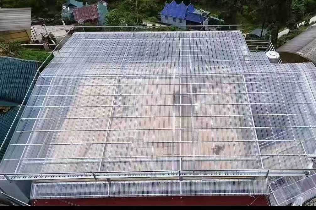 云南普洱山茶房
